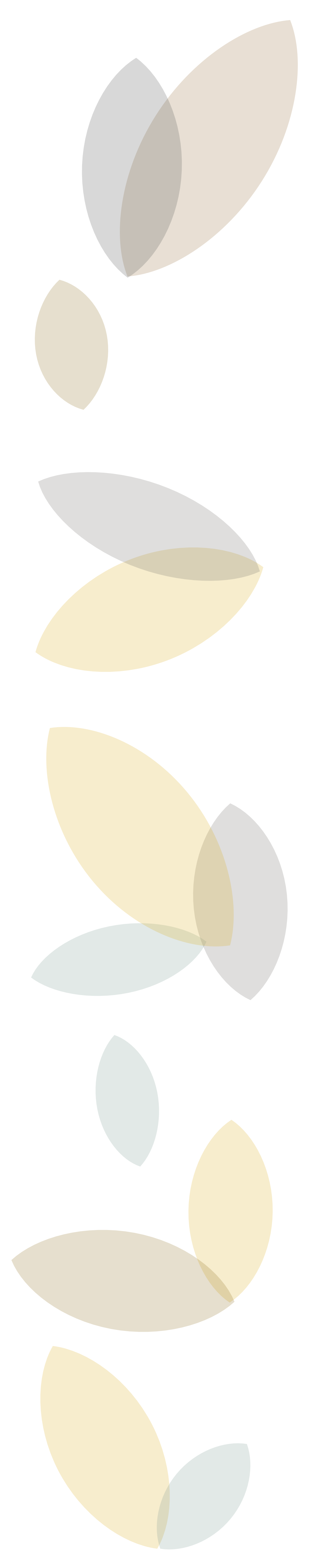 Vygotsky's Zone of Proximal Development examples