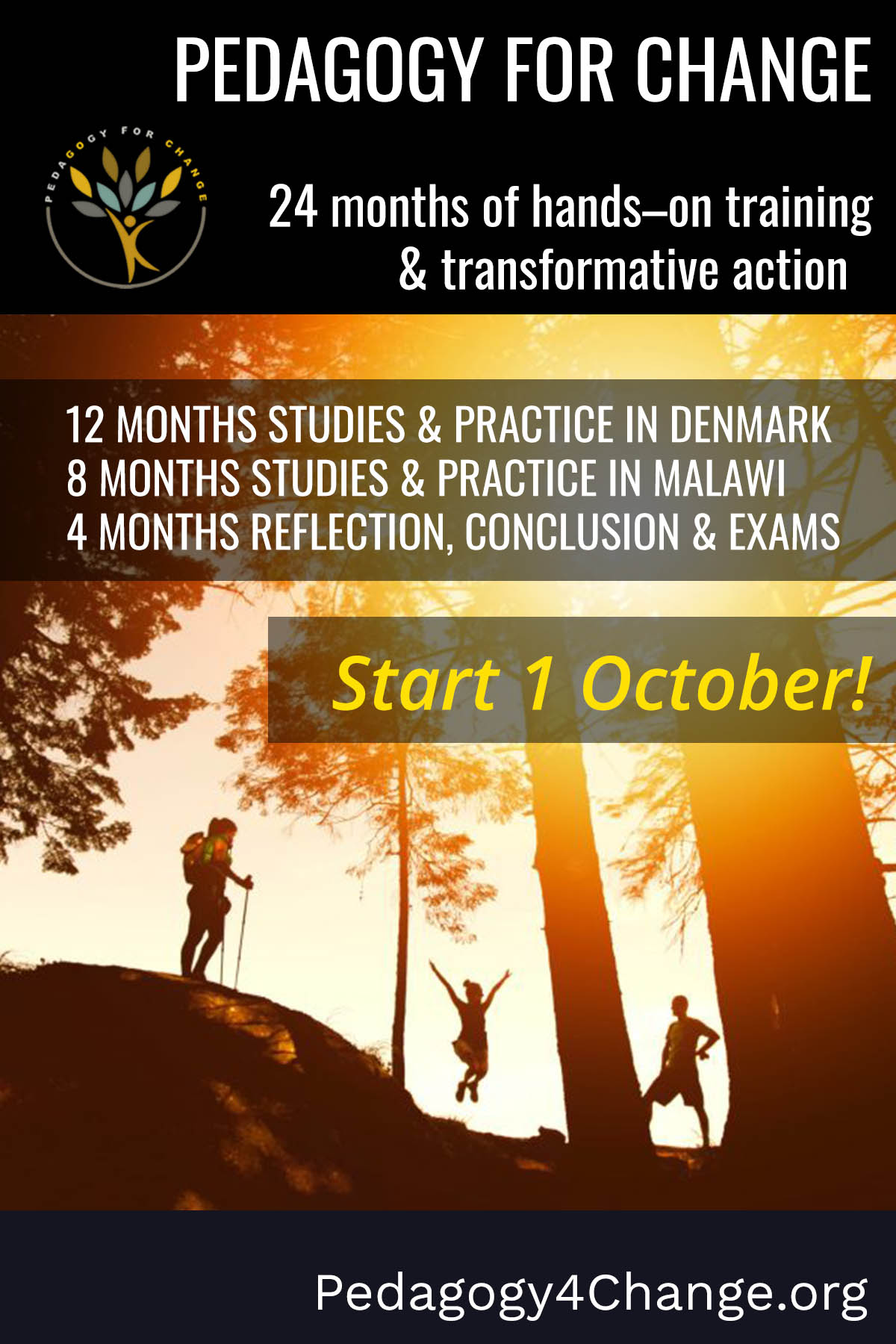 P4Ch october pin Experiential learning: The Challenge of the Year