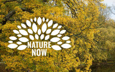 Nature Now 2 Week Camp