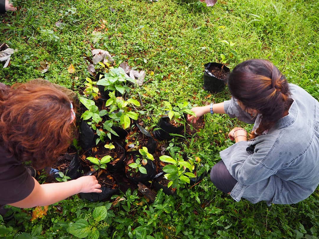 Planting trees at the  Nature Now Camp